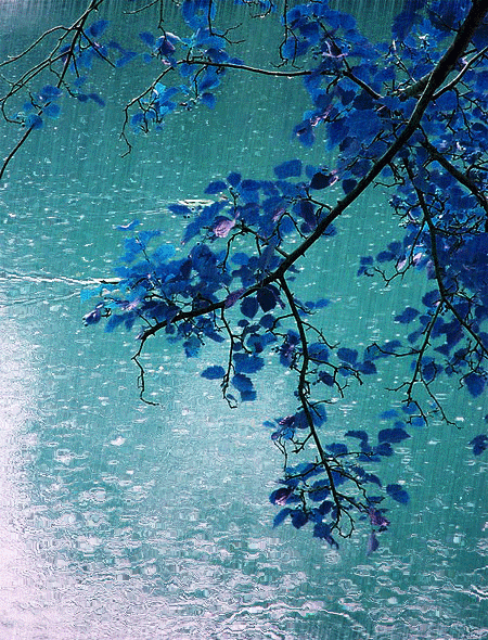 34317-Soft-Rain-Fall